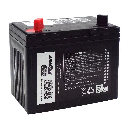 Аккумулятор RDrive OEM AGM 21 Ач п.п. (U1-H11L) РАСПРОДАЖА Фото 1