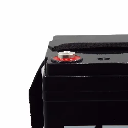 Аккумулятор ZEUS ZG-55-12 GEL (12V55Ah) универсальный Фото 1